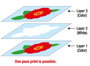 Rasterlink6_3layerprint